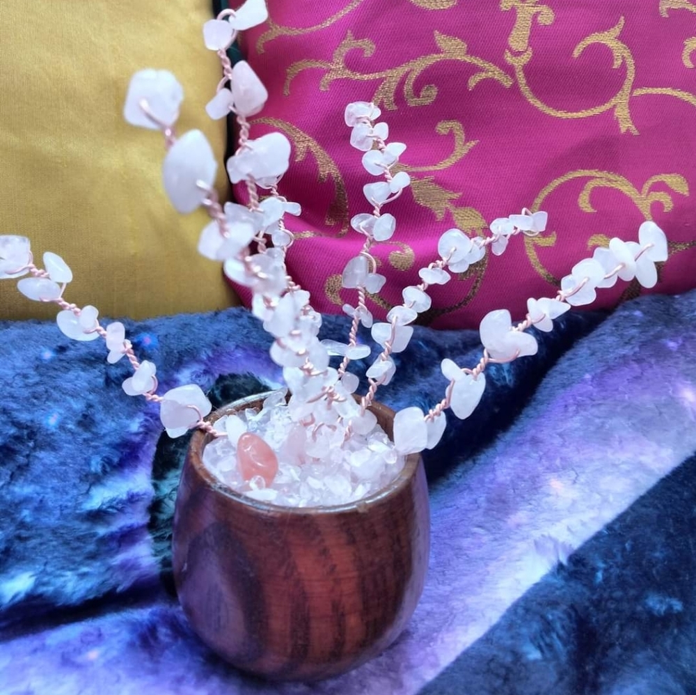 Rose Quartz Healing & Protection crystal plant